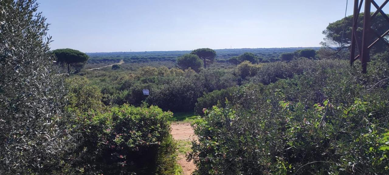 Villa Casa En Loma Sancti Petri A 900 M De La Playa De La Barrosa Chiclana de la Frontera Exterior foto